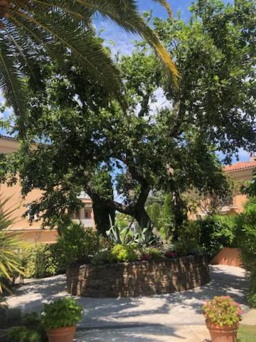 Belle Residence Au Centre De Saint Tropez Avec Piscine Et Garage Eksteriør billede